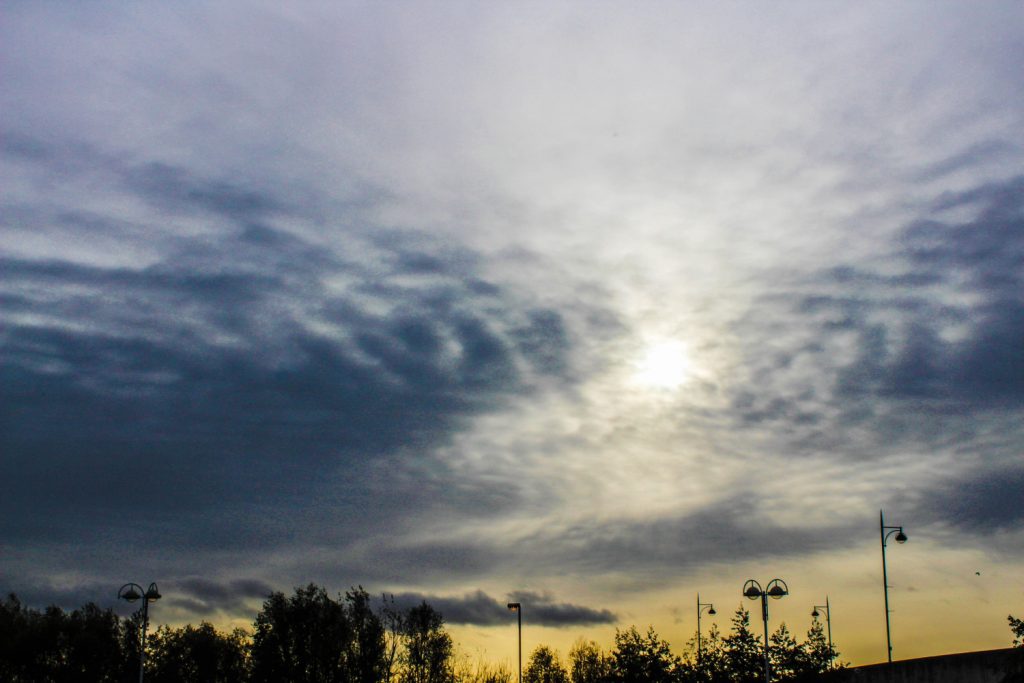Tammy's photo